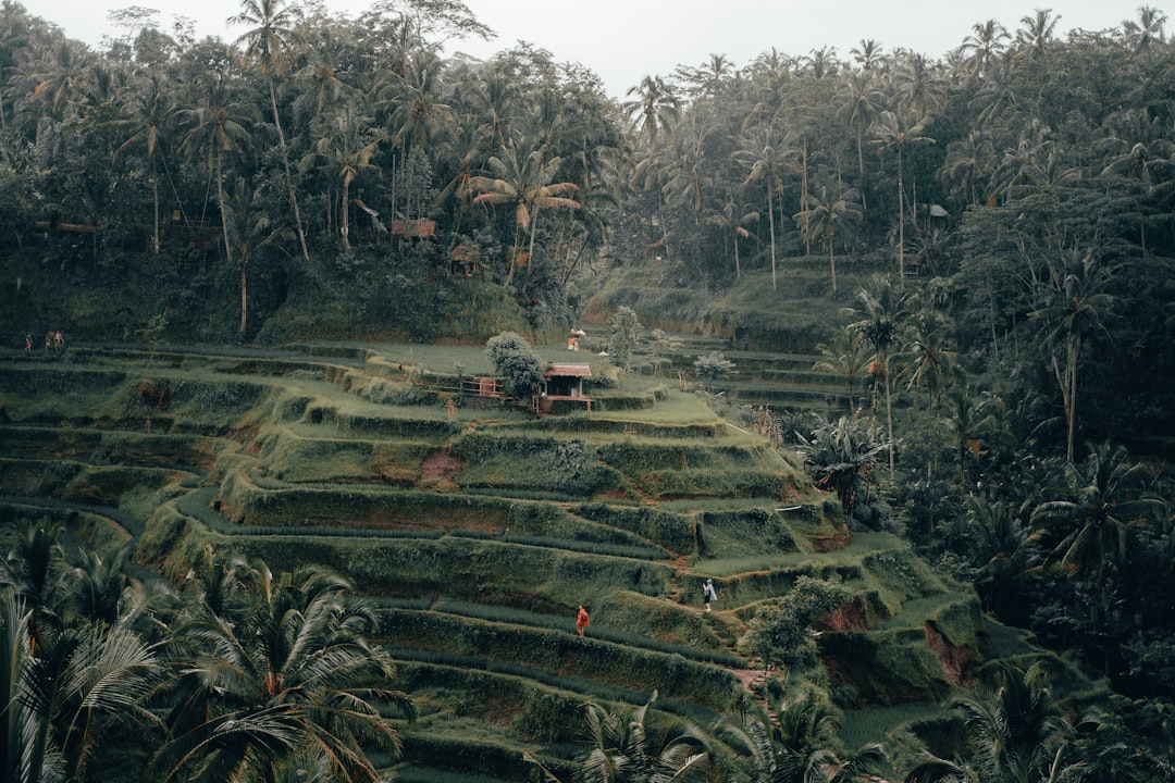 green covered mountain