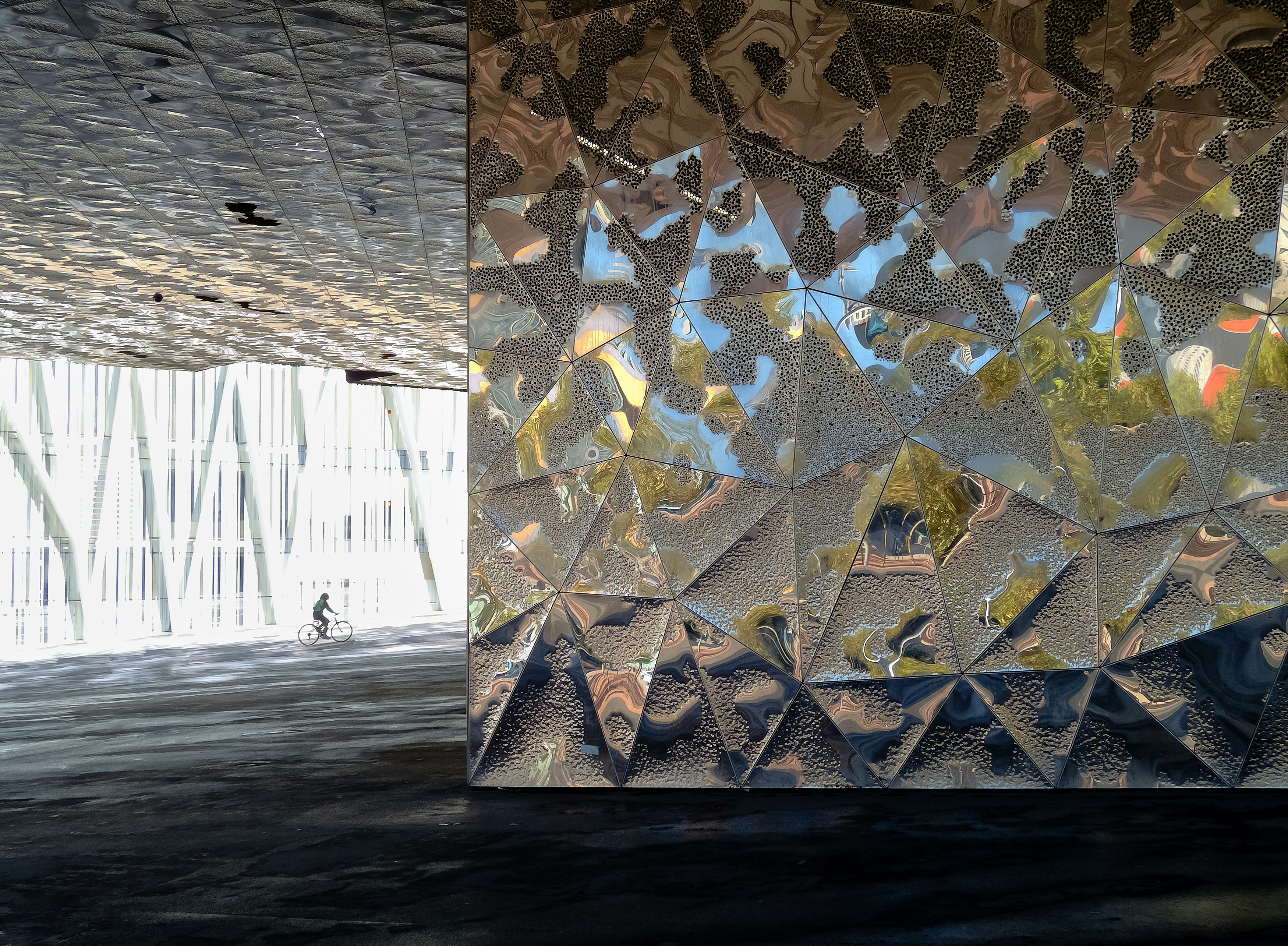 Belgium soccer jersey 24-25