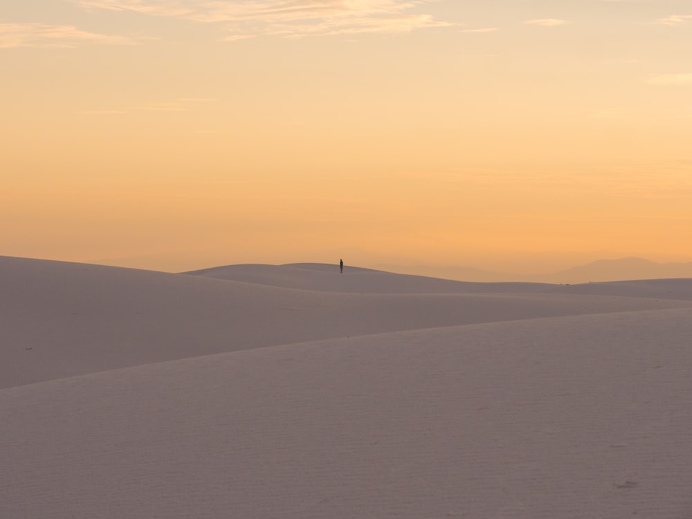 person standing on desert during golden hour
