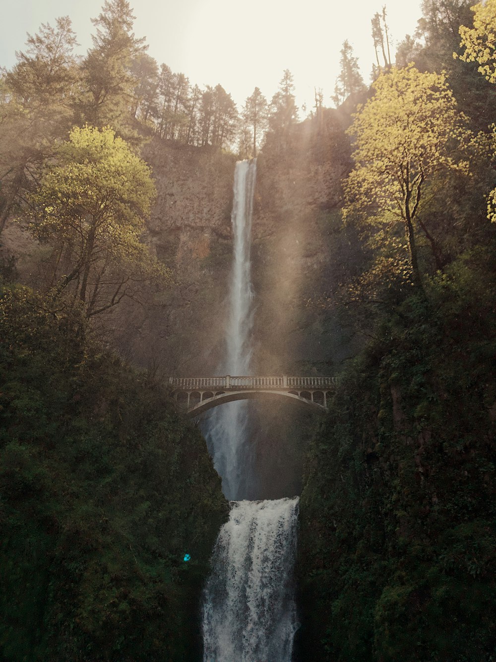 滝のローアングル写真