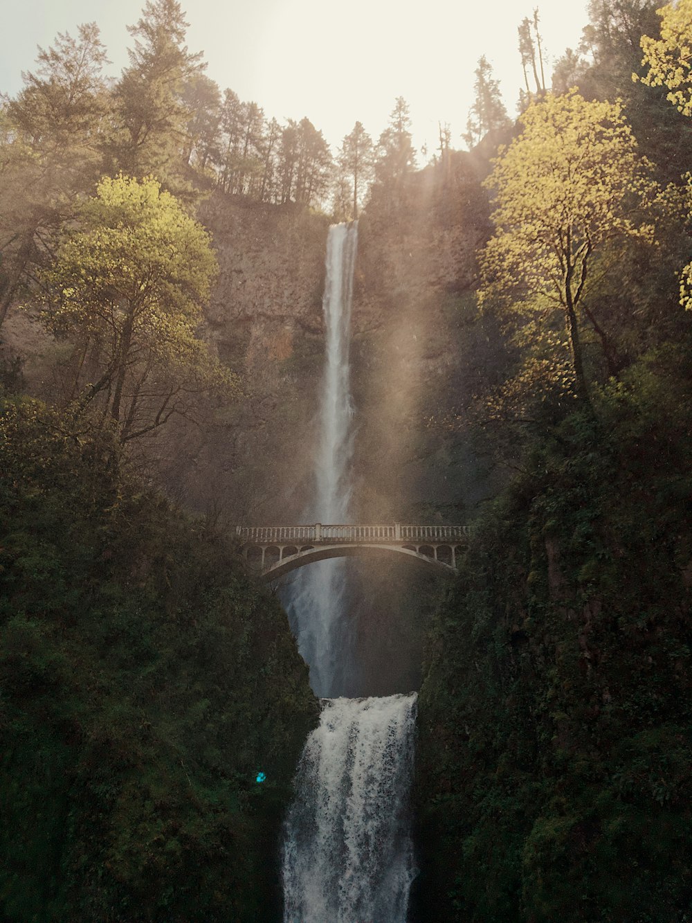 low-angle photography of water falls