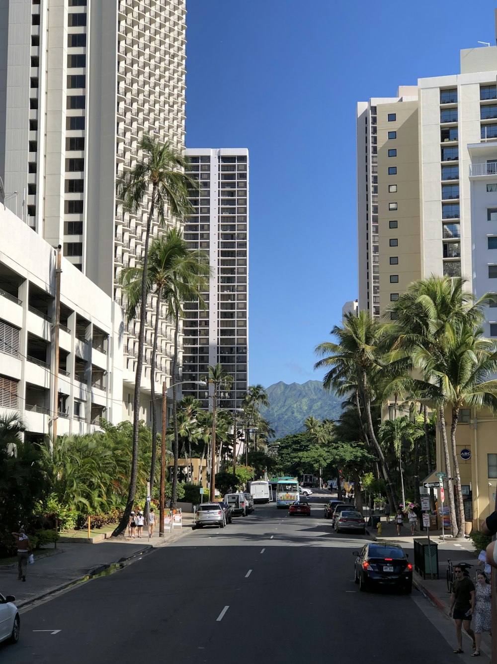 vehicles on road near high rise buildings