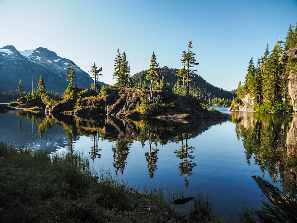 30,000+ Vancouver Island Pictures | Download Free Images on Unsplash