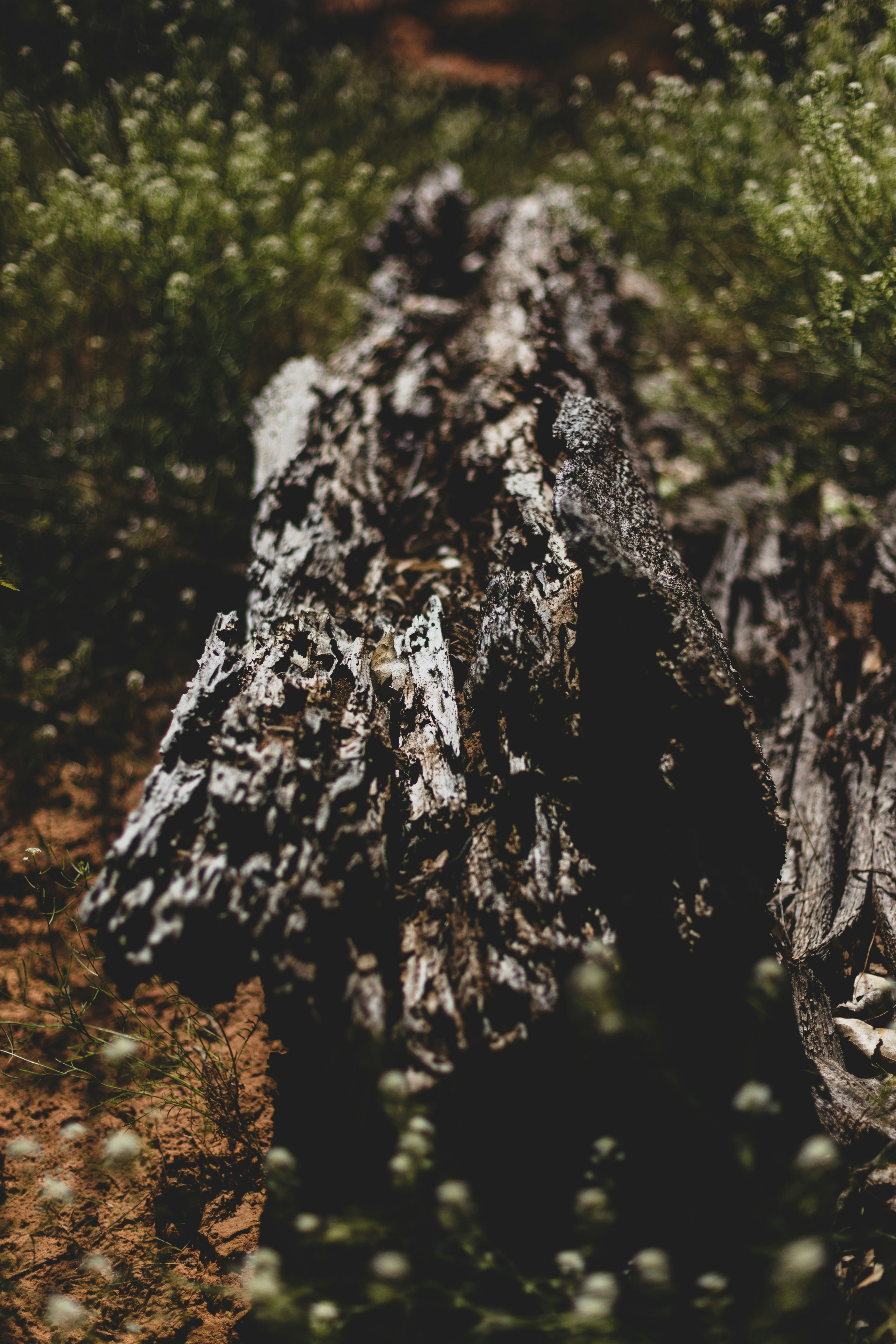 Photo by worldsbetweenlines