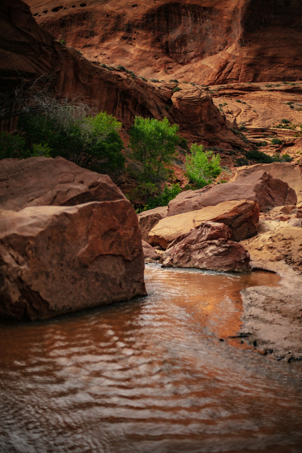 brown rock