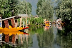 boats in body of water near trees