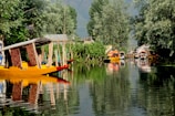 boats in body of water near trees