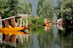 boats in body of water near trees