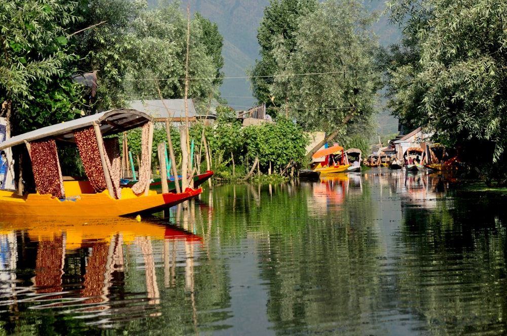boats in body of water near trees