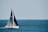 A sailboat with a dark sail is moving across a vast expanse of blue water. Several people are on the deck wearing life jackets. The sky is clear, with a pale blue hue blending into the horizon.