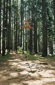 A close-up of a road sign warning about wildlife crossing surrounded by trees.