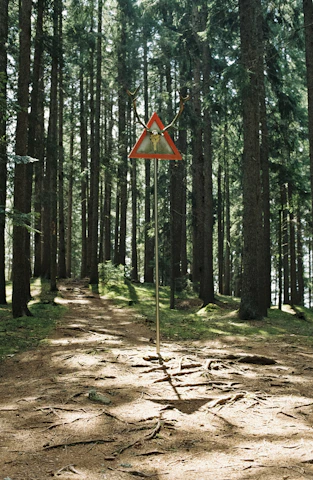 A close-up of a road sign warning about wildlife crossing surrounded by trees.