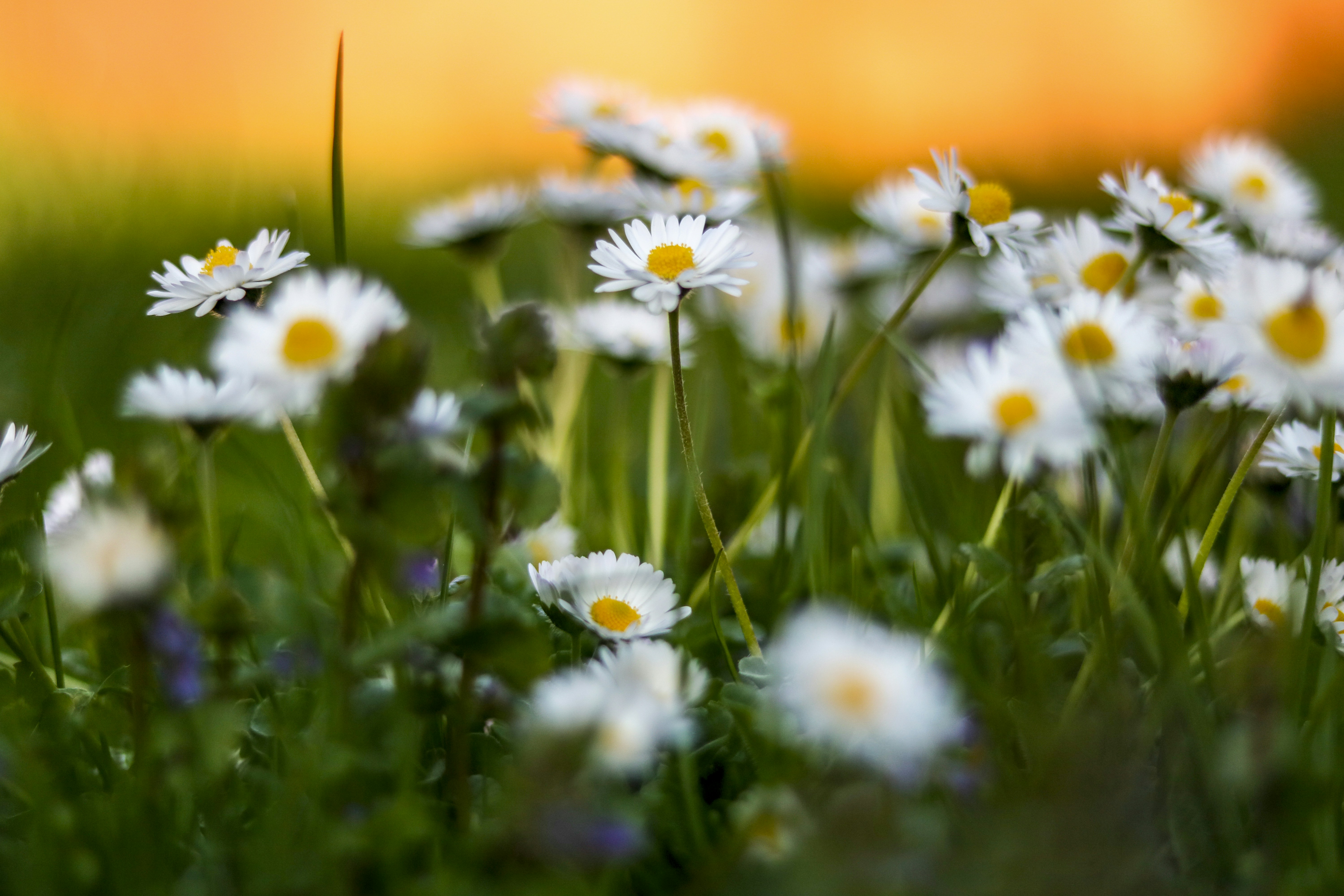 Photo by ovidiugruescu