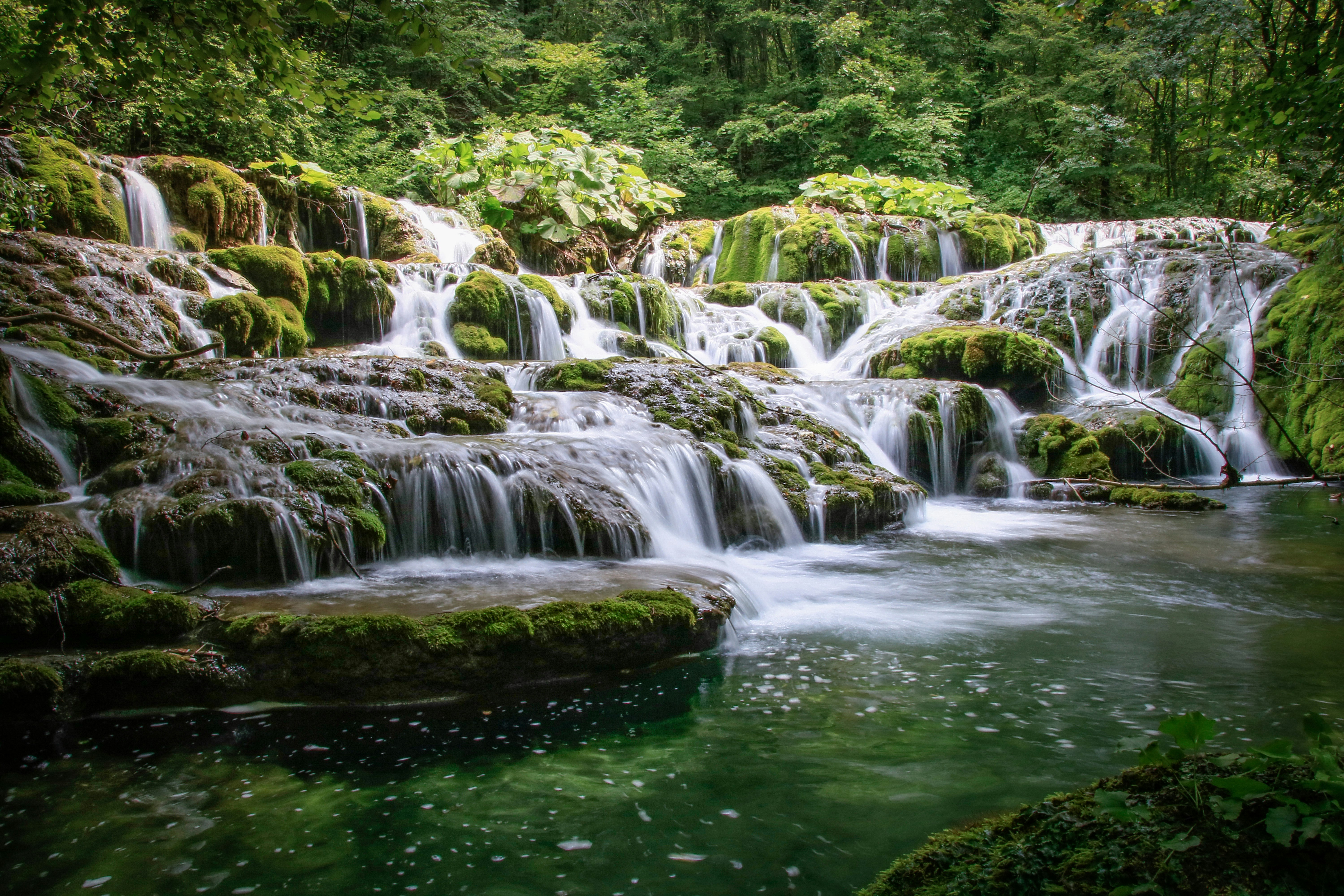 waterfalls in forest at daytime