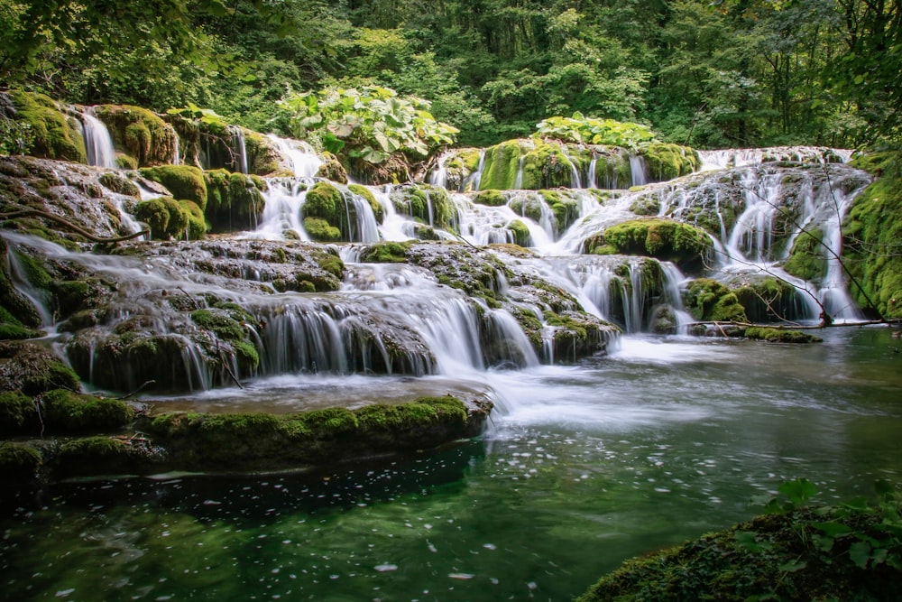 waterfalls in forest at daytime
