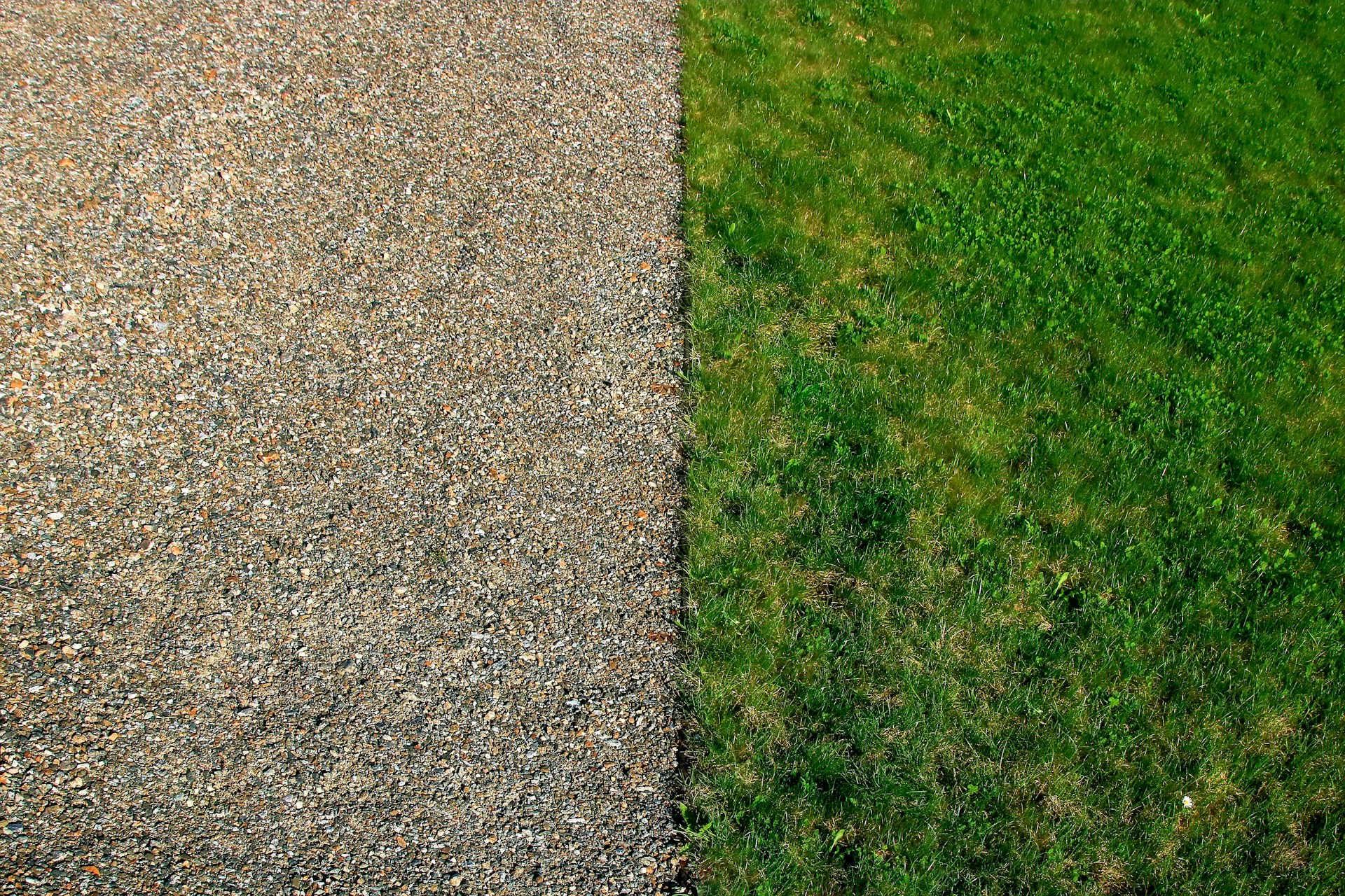 top view of green sod