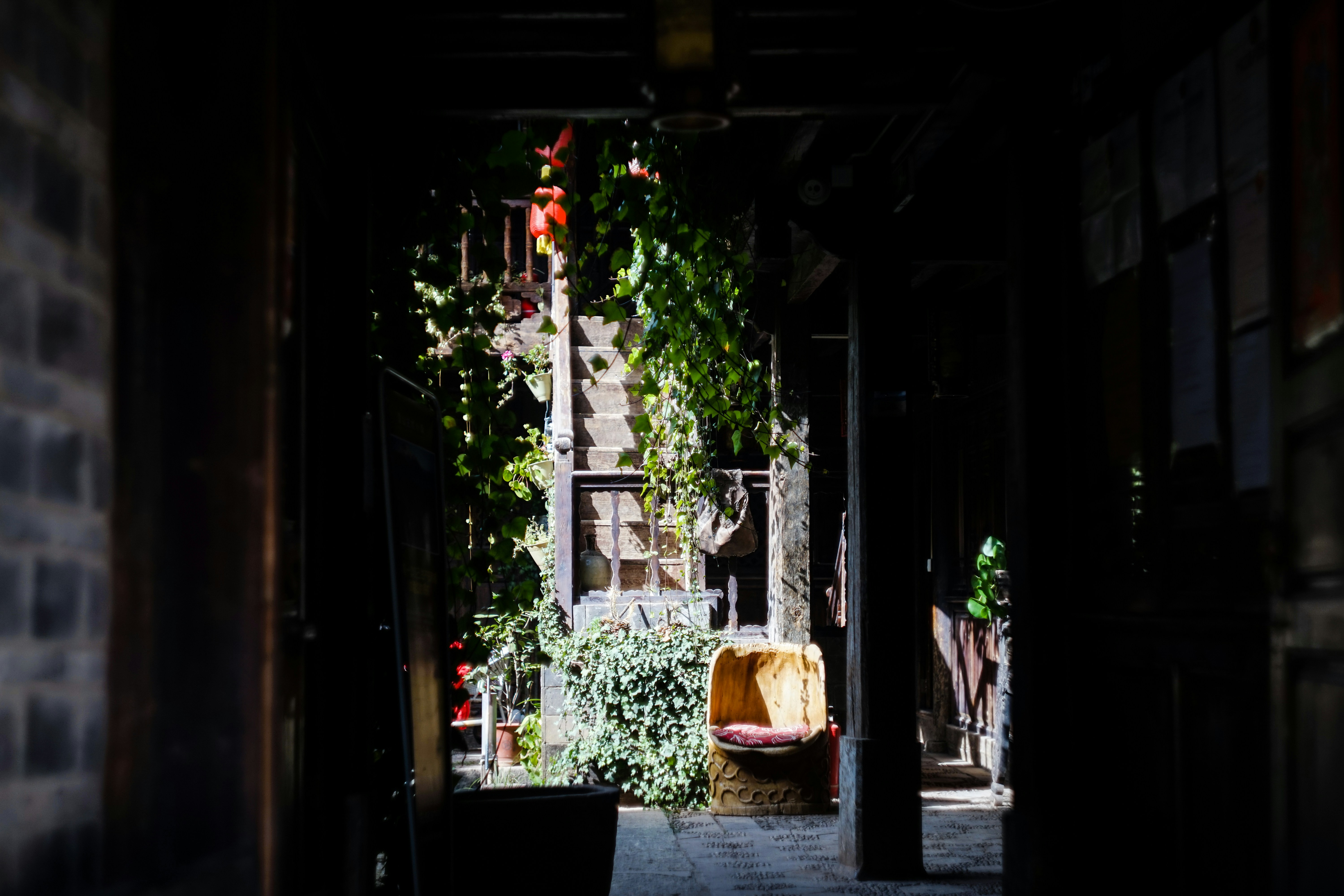 Photo by invisibledragon