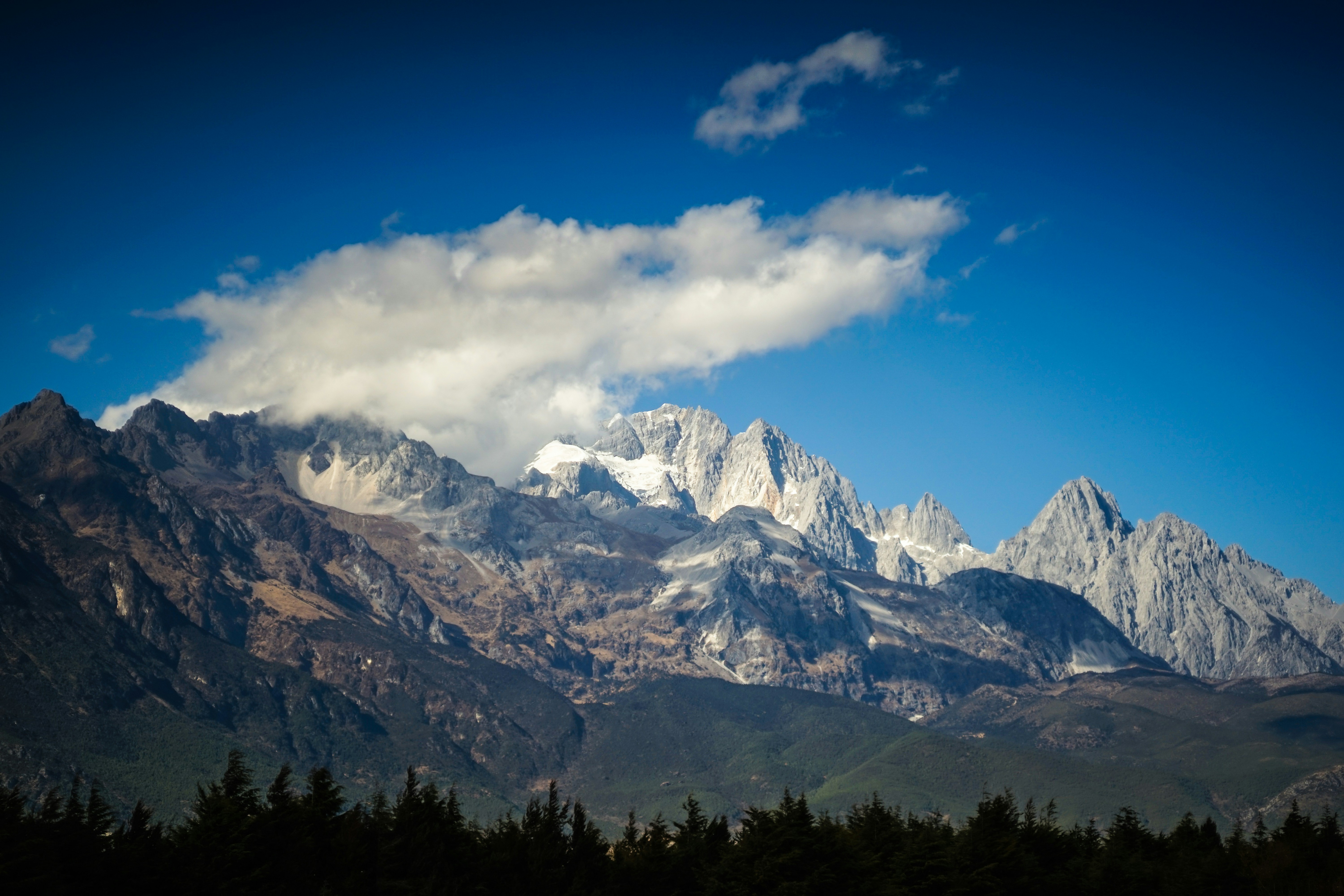 Photo by invisibledragon