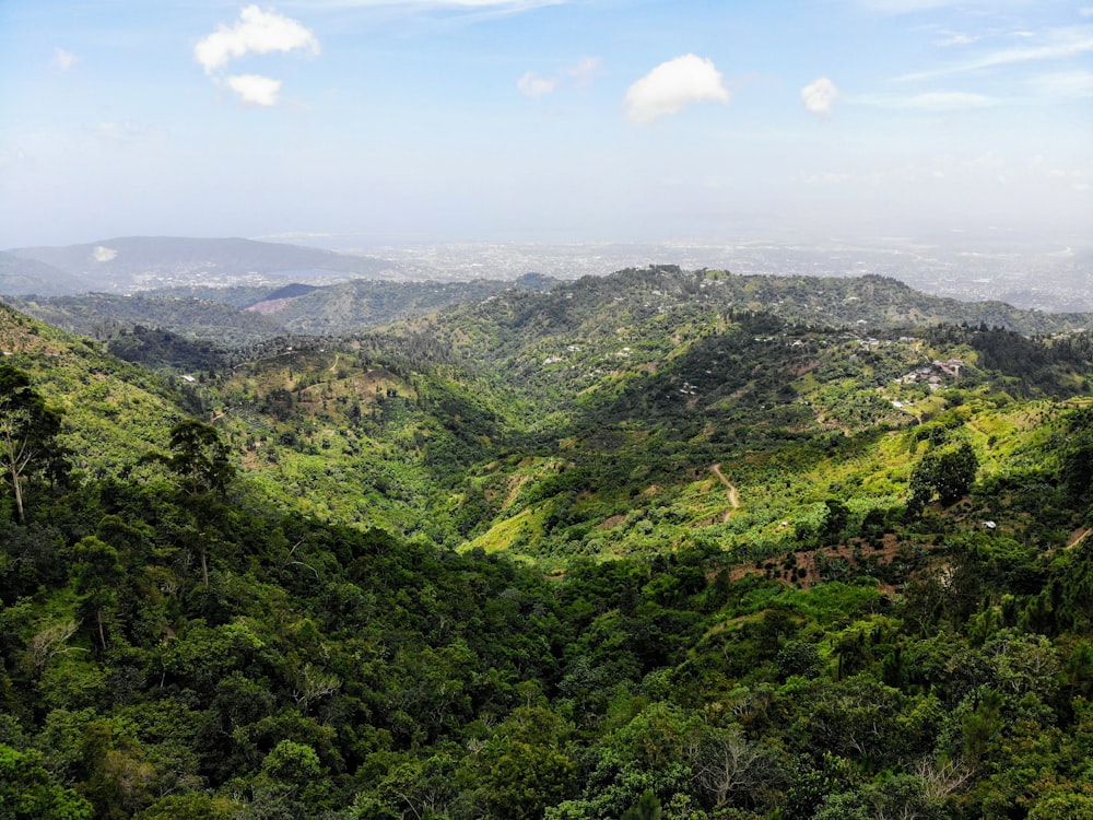 Montaña verde bajo el cielo azul