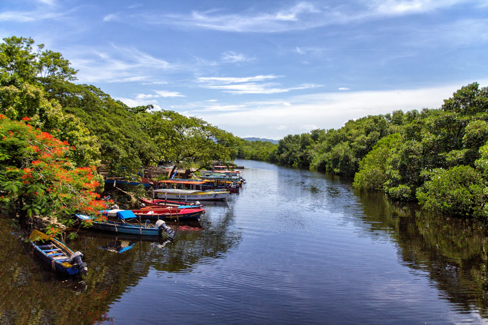 Tour boats docked on a Jamaican river near Ocho Rios