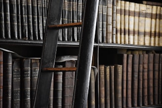 shallow focus photo of books on shelf