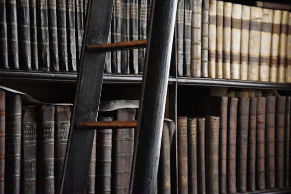 A tall, dark wooden ladder leans against bookshelves filled with rows of aged and weathered books bound in dark leather. The books exhibit a range of colors from muted browns to deep blacks, with visible gold lettering on their spines. The overall lighting is dim, accentuating the rich textures and antiquity of the scene.