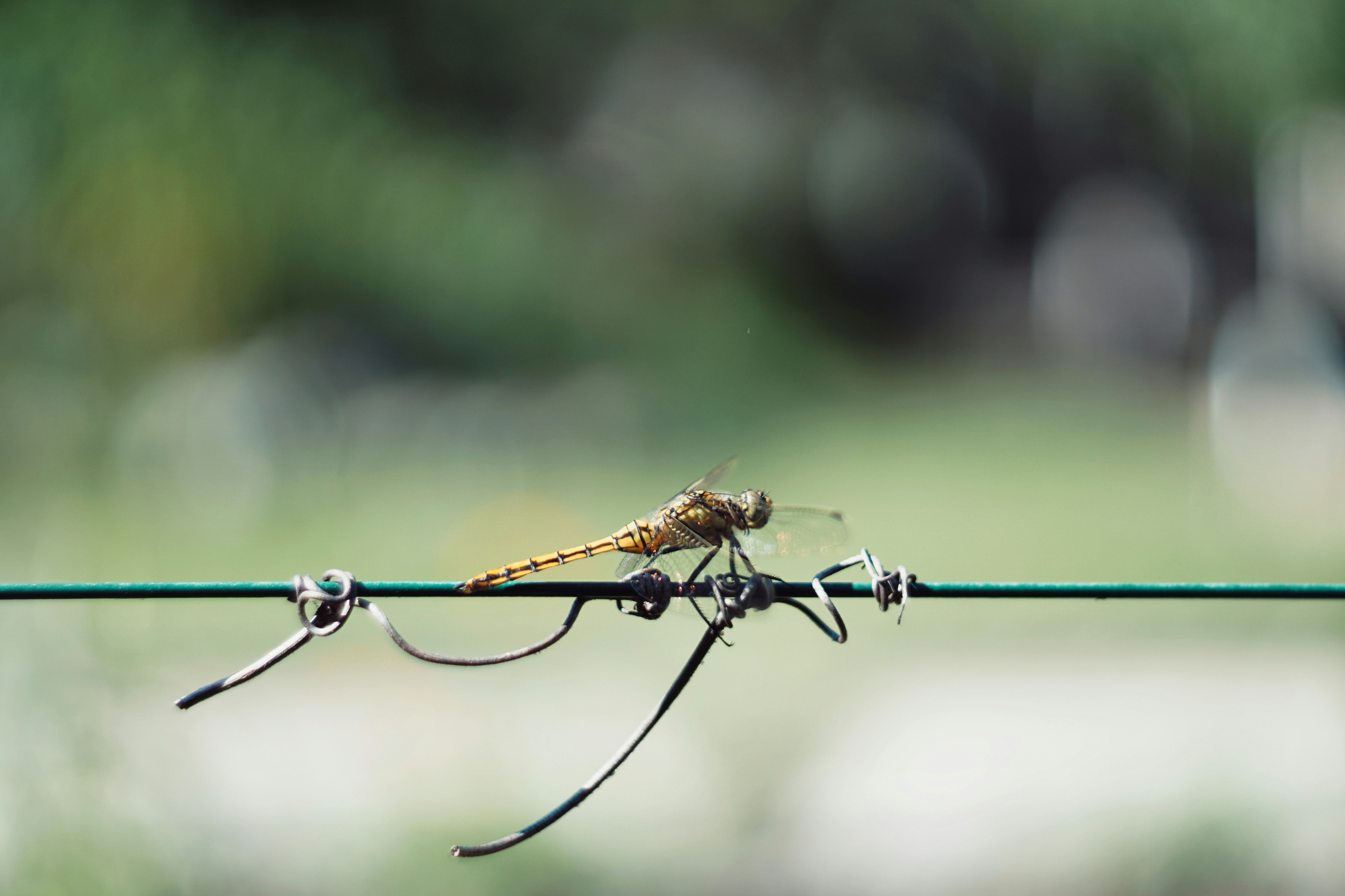 Photo by saturday_sun