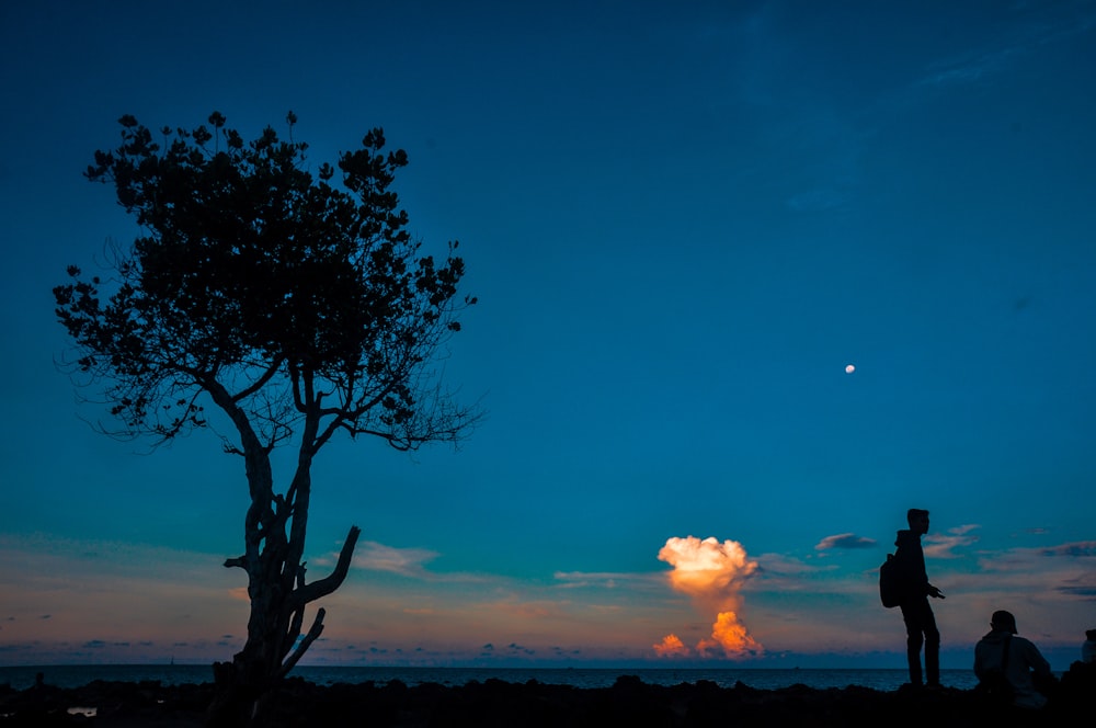 person standing beside person sitting near tree