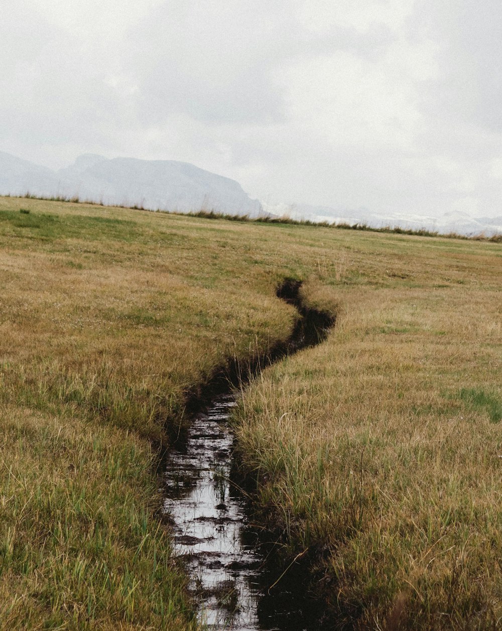 green grassfield with canal