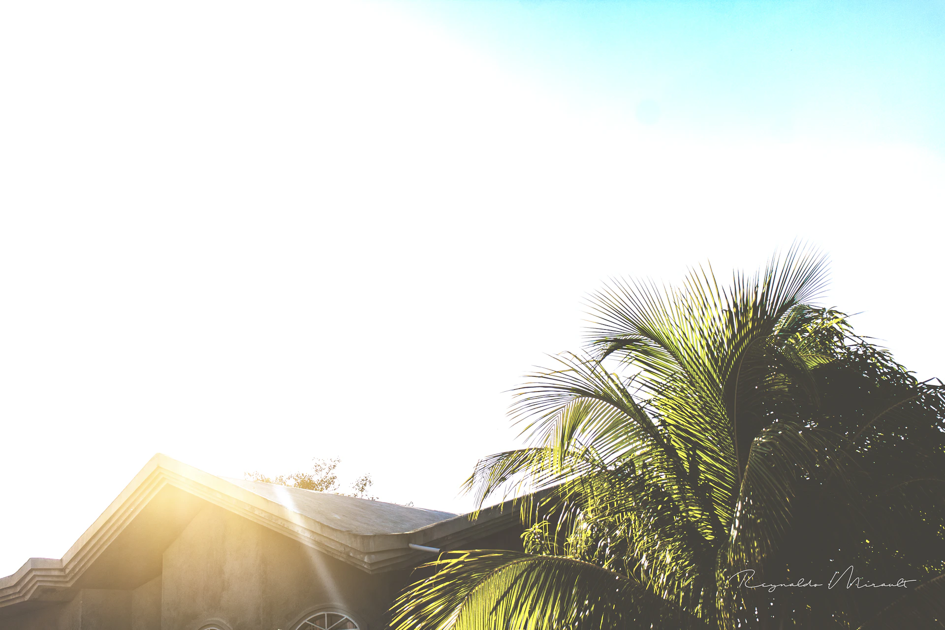 A sunlit beach house exterior with soft waves lapping the shore in the background, framed by swaying palm trees under a clear blue sky.