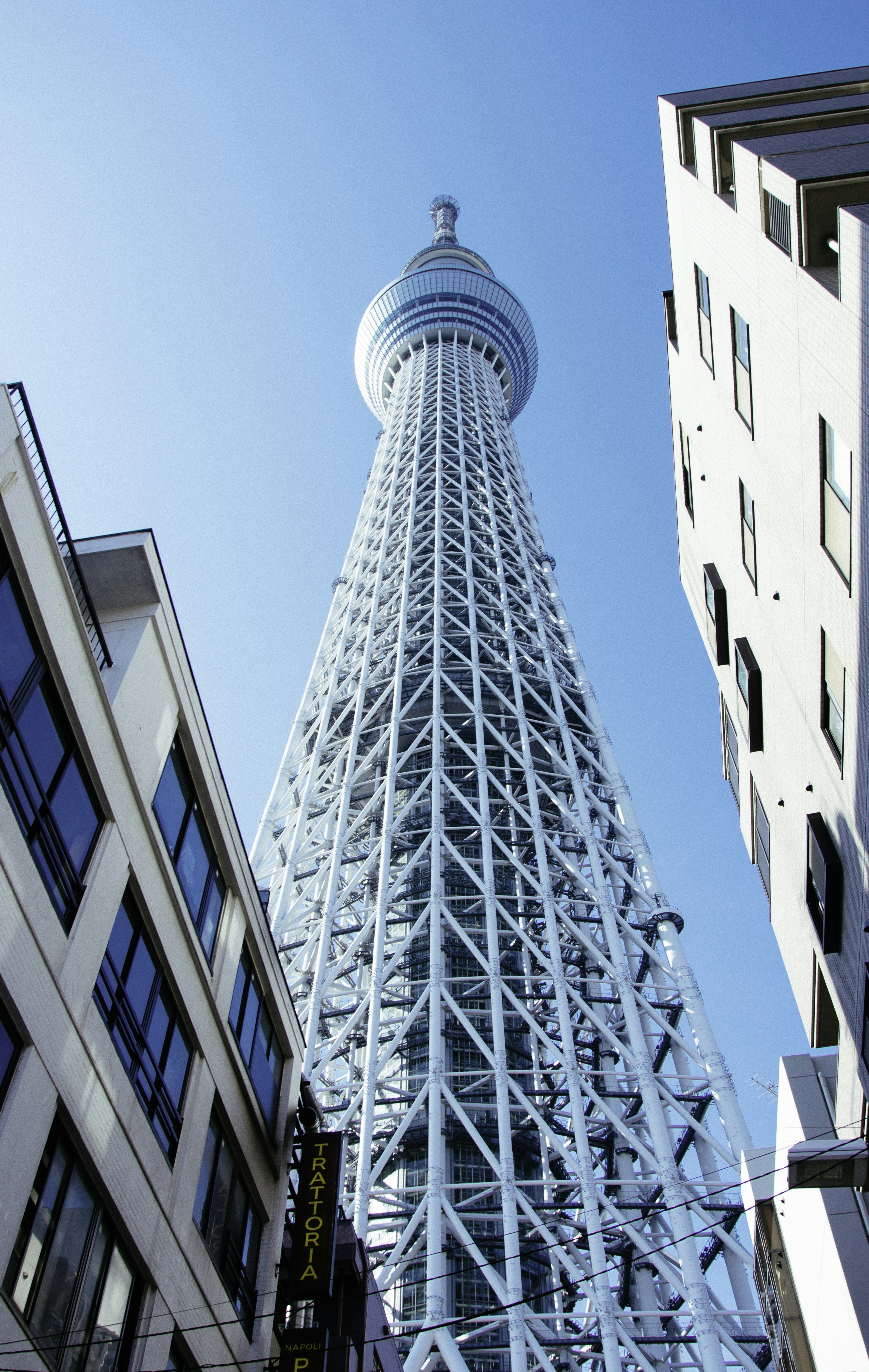 Photo by paracetamol