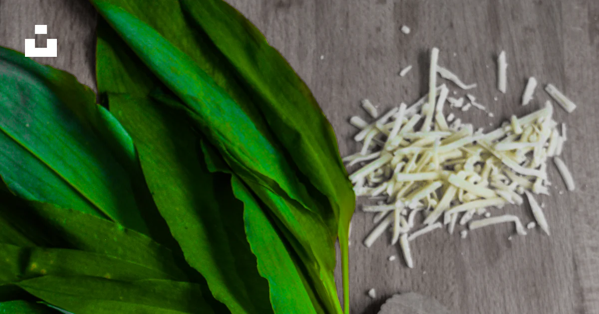Green leaf plant close-up photography photo – Free Green Image on Unsplash