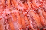 A pile of langoustines (also known as Norway lobsters) displayed on a bed of crushed ice. The langoustines have orange and white segmented shells and small black eyes. Their bodies and claws are mostly intact and arranged closely together.