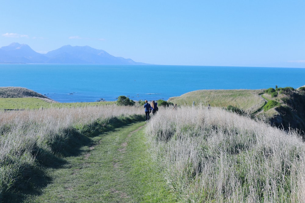 due persone che camminano vicino al campo d'erba