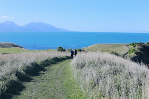 Kaikoura Peninsula Walkway Ocean View