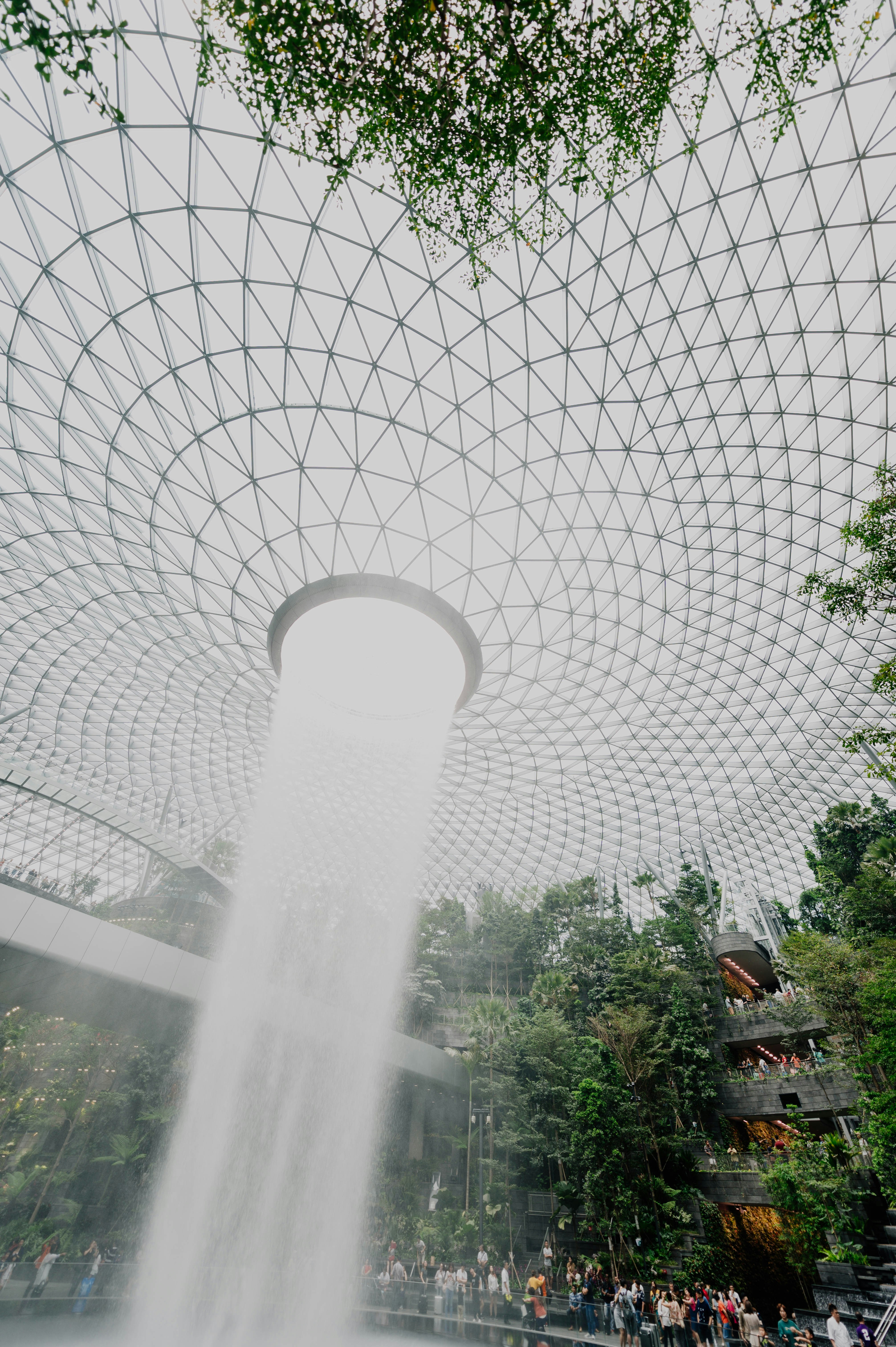 Photo by chuttersnap