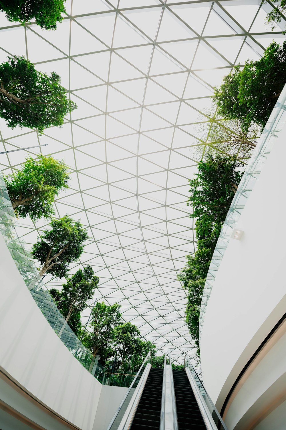 low-angle photo of glass structure inside building