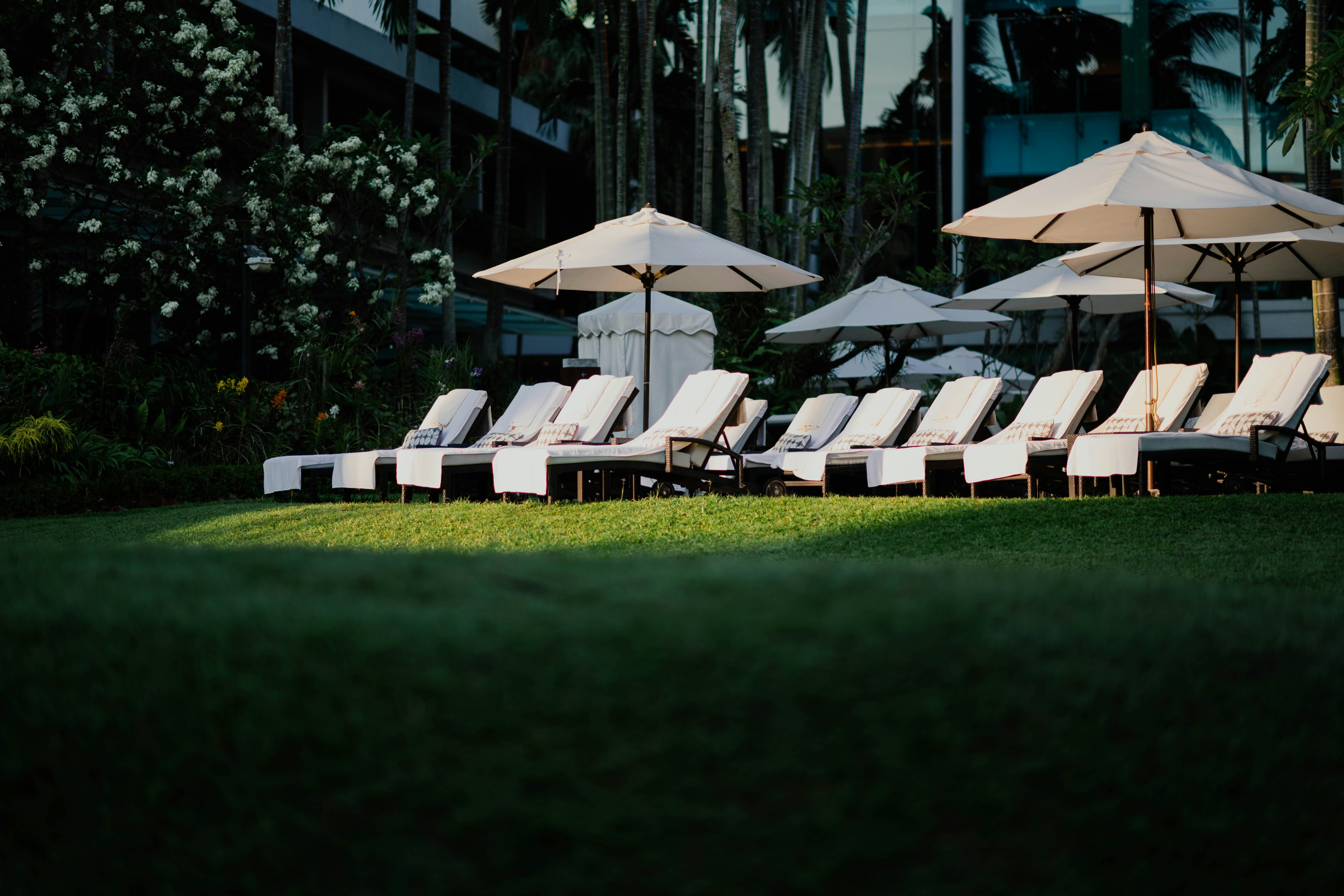 Photo by chuttersnap