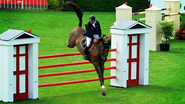 A horse and rider are engaged in a show jumping event, successfully clearing a red and white obstacle. The scene takes place on a grassy field with decorative structures surrounding the jumping course.