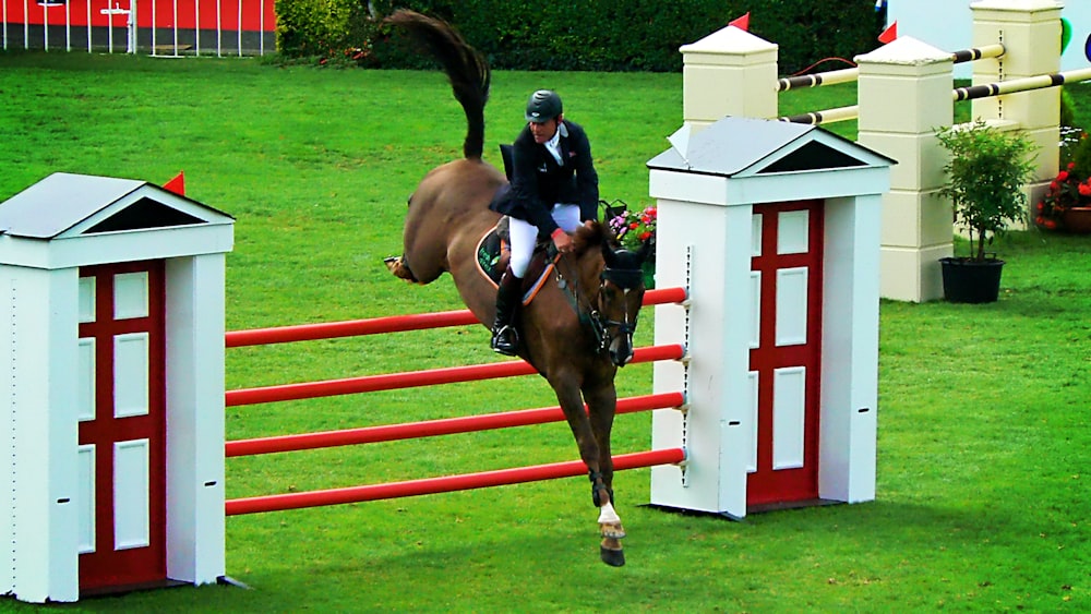 man riding horse jumping on red fence