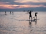 silhouette photo of people riding on paddle boards