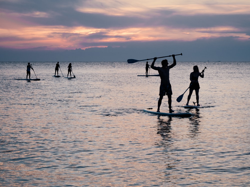 silhouette photo of people riding on paddle boards