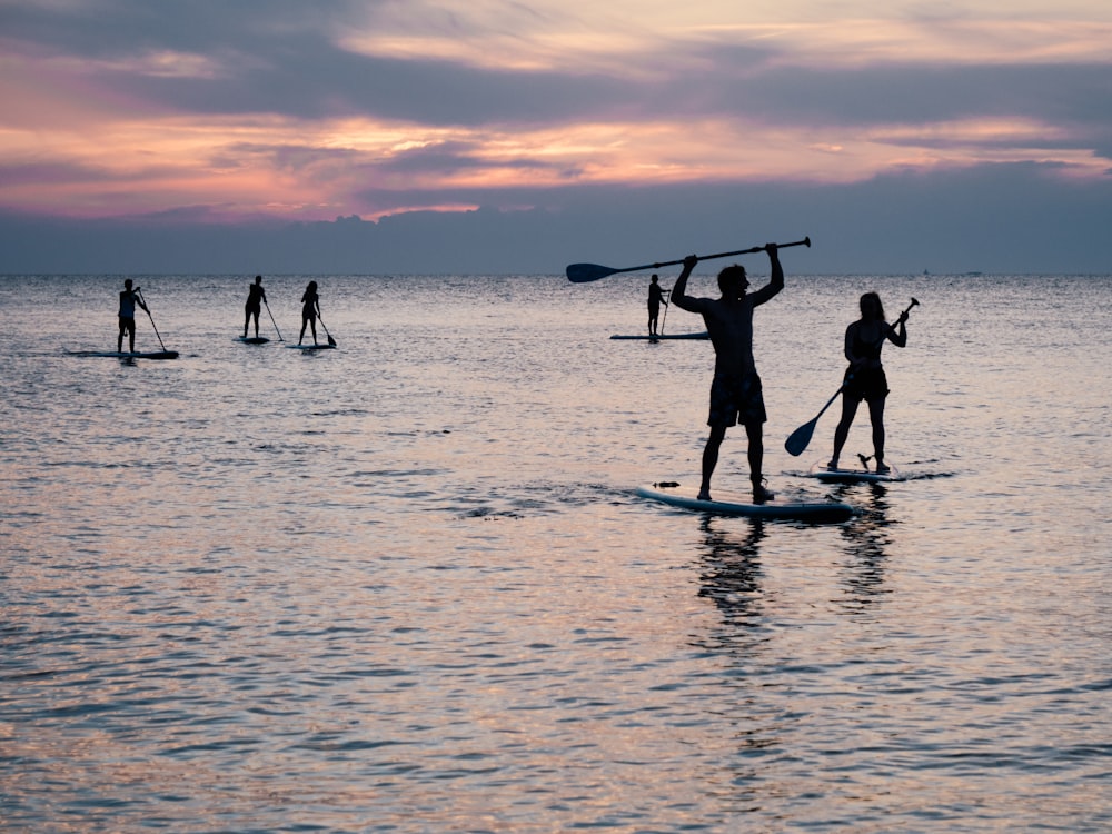 photo de silhouette de personnes roulant sur des planches à pagaie