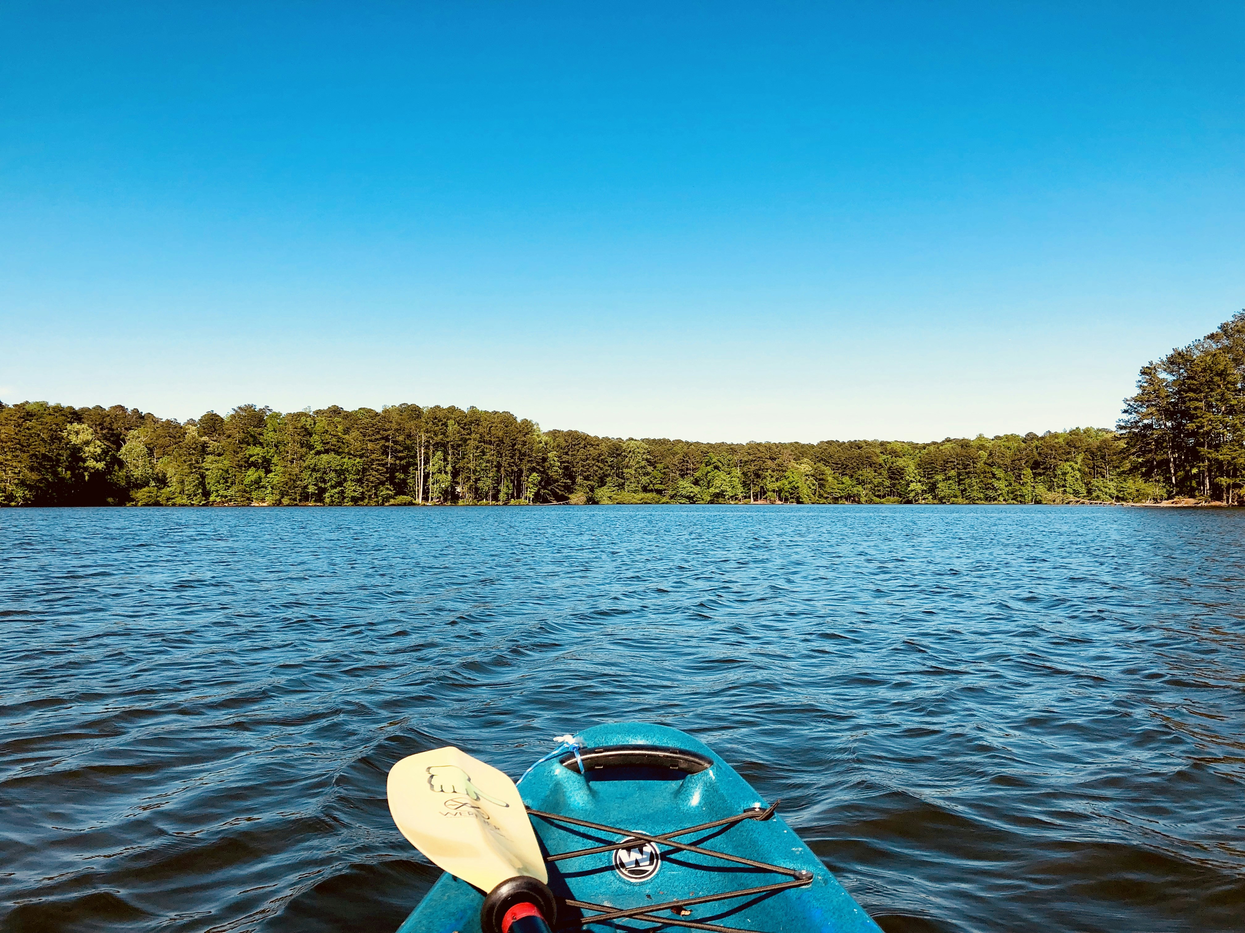 Photo by vijetha_surakanti