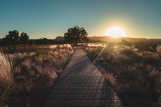 empty farm road under clear blue sky