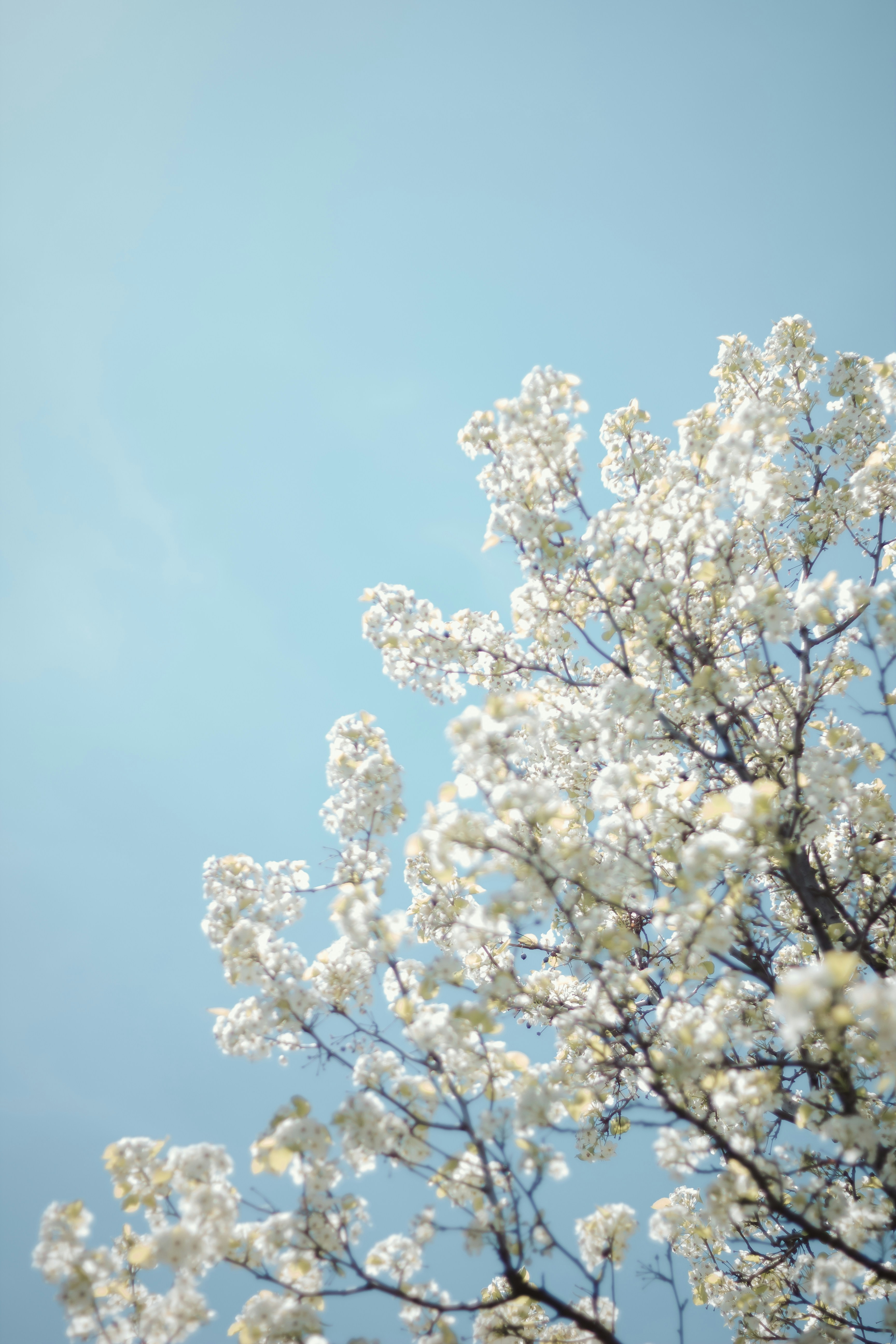 Photo by hayleymurrayphoto