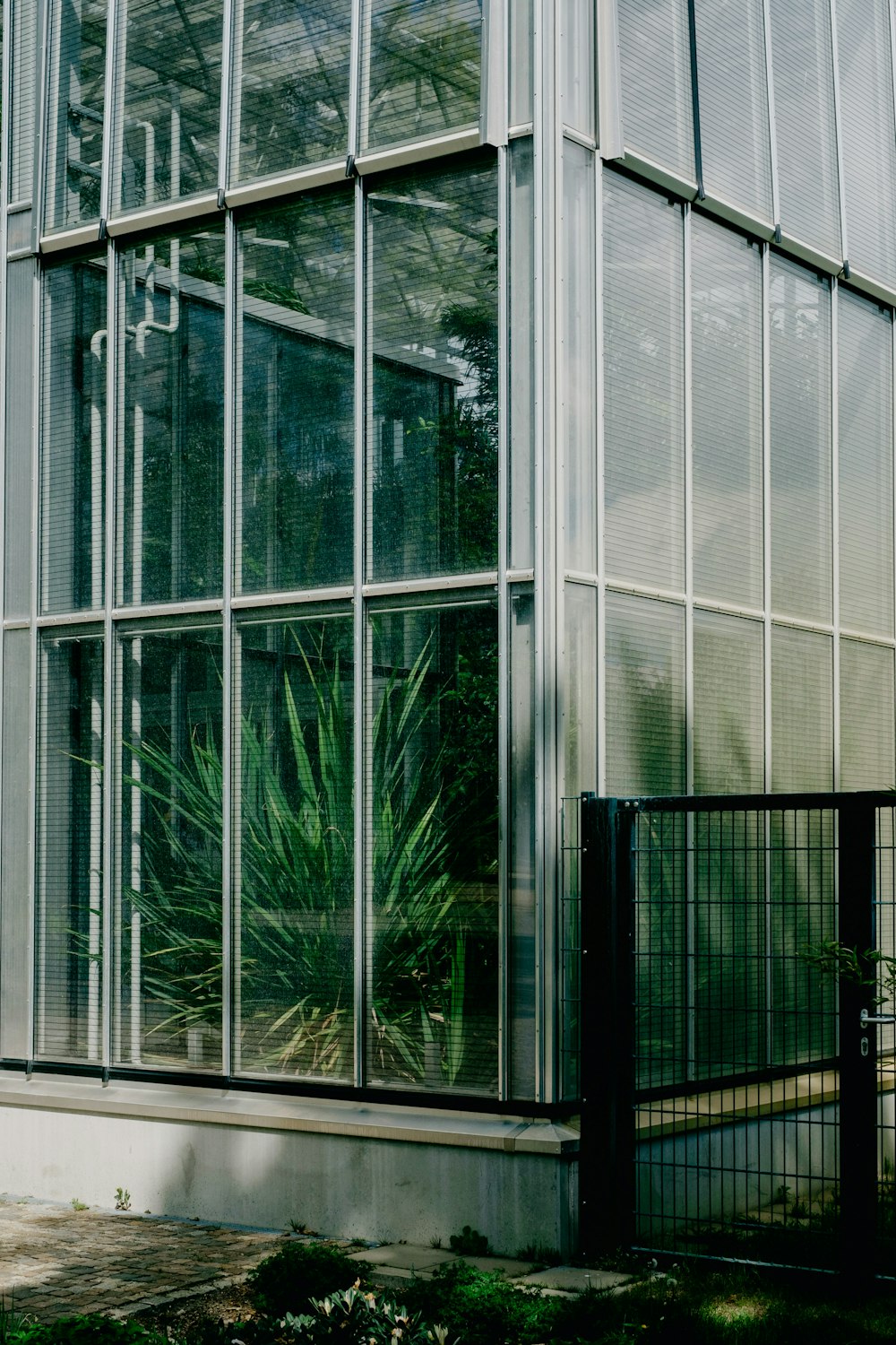 grey framed glass door in building