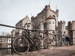 three lined park bicycles