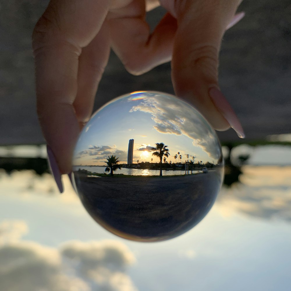 person holding clear ball with palm trees and body of water reflection