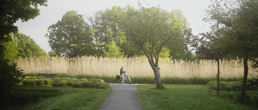 person rides bike near tall grasses